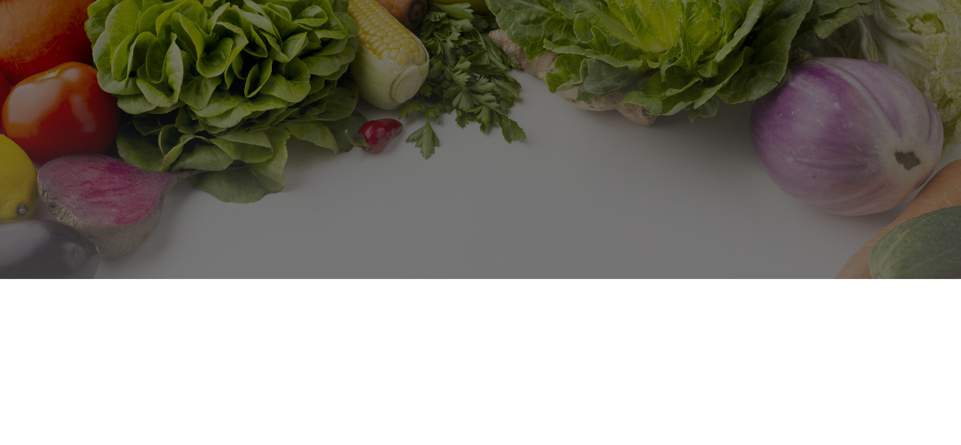 ���Ͻ��Ĺ��̰���